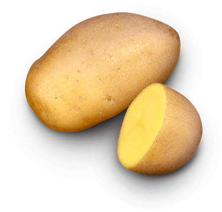 Lady Amarilla potato