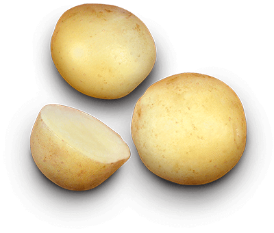 Gemson potato