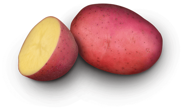 Labella potato