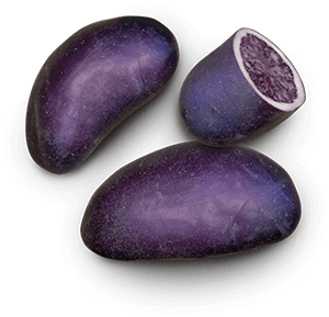 Purple Magic potato
