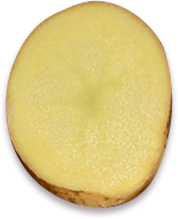 Slice of potato