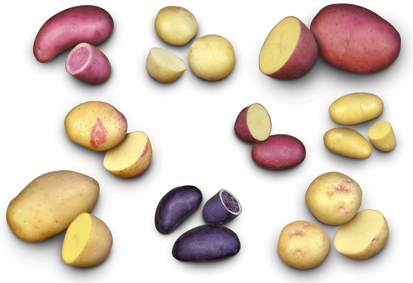 Potato collage