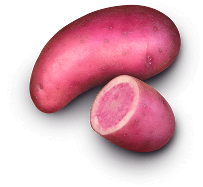 Rosemarie potato