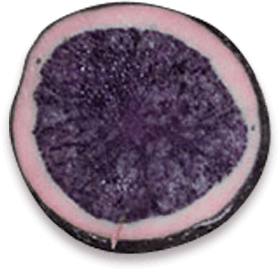 Slice of Purple Magic potato