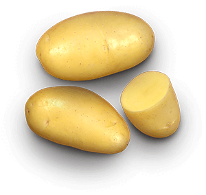 Jazzy potato